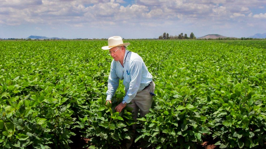 Agro colombiano sigue conquistando nuevos mercados en el mundo