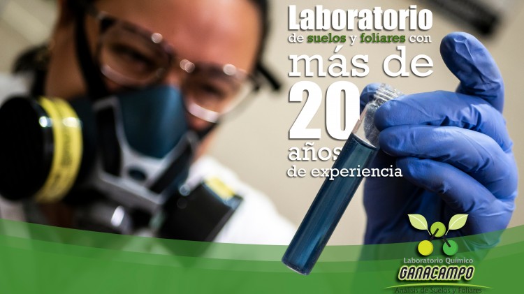 Quiénes Somos