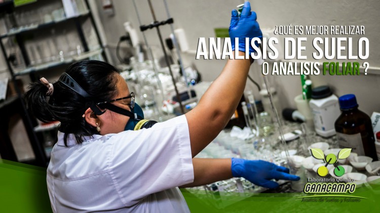 Solicitud de análisis
